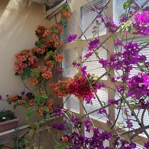  Bed & Breakfast Claudia Italy